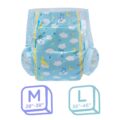 Little Dreamers Adult Diapers 2 Pieces Sample Pack