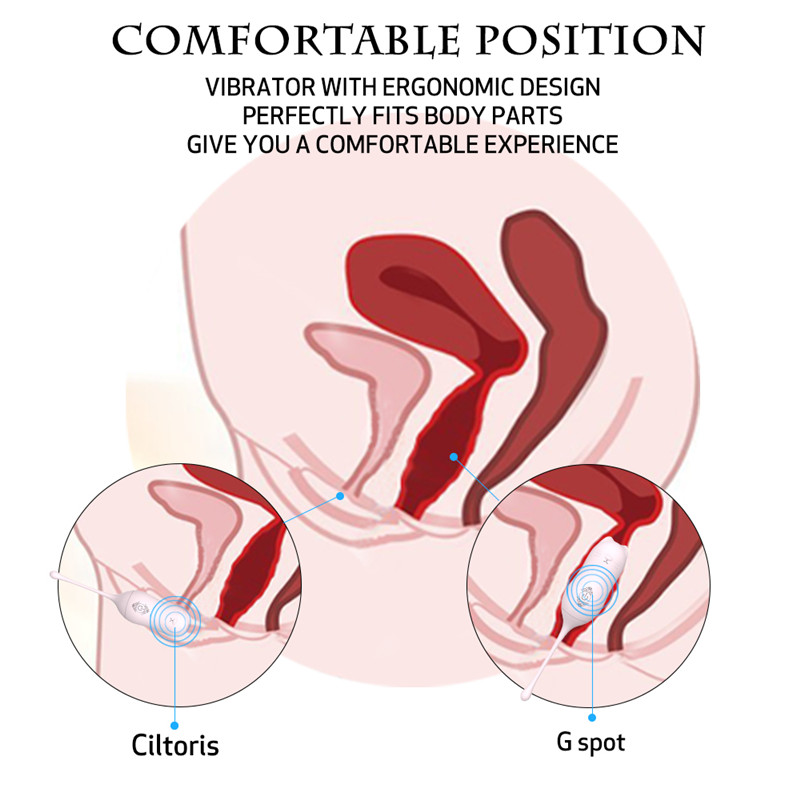 Fantasy Lover Hello Meow Kegel Balls Vibrator