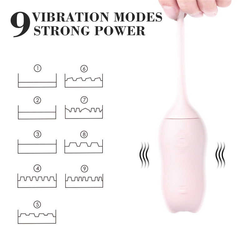 Fantasy Lover Hello Meow Kegel Balls Vibrator