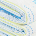 Astro Babies Adult Diapers 10 Pieces Pack(M)/(L)