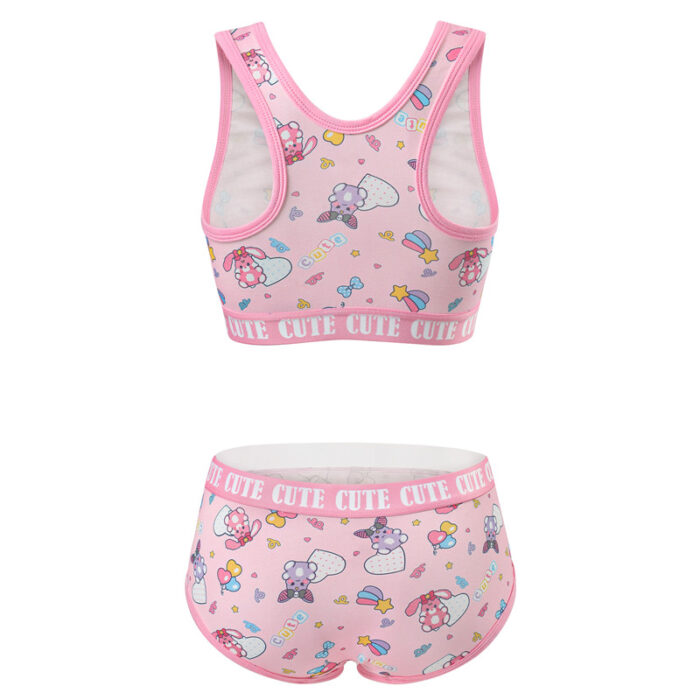 LittleForBig Zijdeachtig hemdje en slipje voor dames Sport Loungewear Bralette Set - Konijntjes & Strikken Usagi Bralette Set, roze, M LittleForBig Zijdeachtig hemdje en slipje voor dames Sport Loungewear Bralette Set - Konijntjes & Strikken Usagi Bralette Set, roze, M