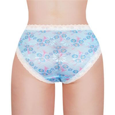 Cottagecore Pattern Tucking Gaff Panties Blue