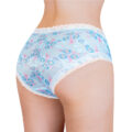 Cottagecore Pattern Tucking Gaff Panties Blue
