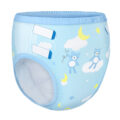 Little Dreamers Adult Training Pants