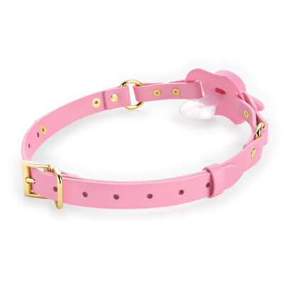 Gen II Pacifier & Gag Set with Custom Letter Options