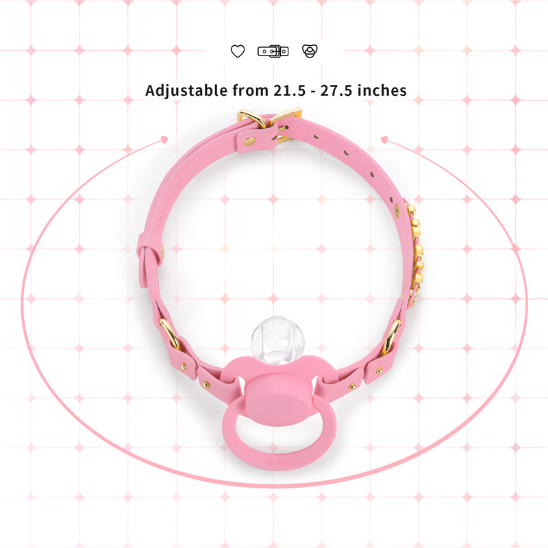 Gen II Pacifier & Gag Set with Custom Letter Options