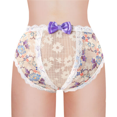 Purple Butterflies Pattern Cheeky Bow Tucking Gaff Panties