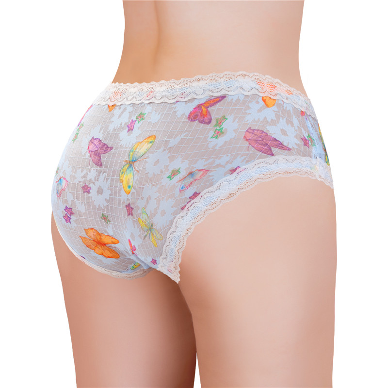 Butterflies Pattern Tucking Gaff Panties