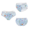 Butterflies Pattern Tucking Gaff Panties