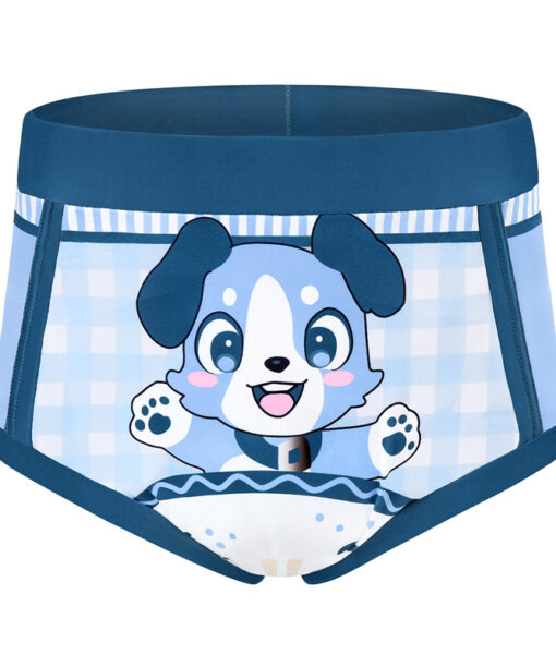 Incontinence Underwear