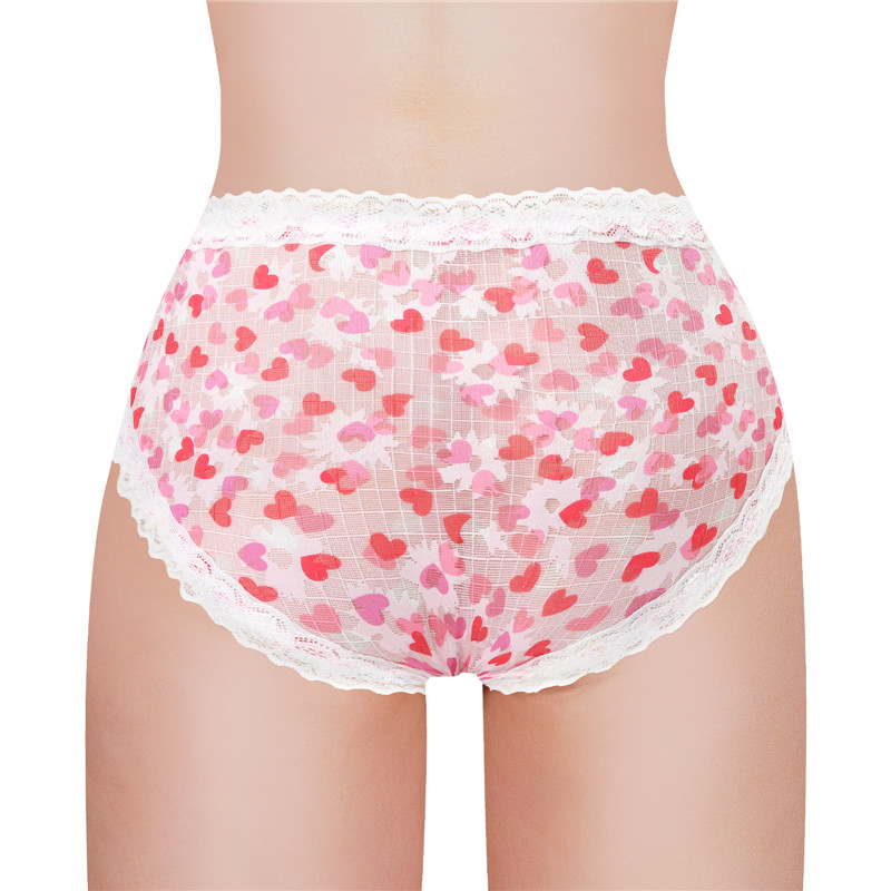 Hearts Pattern Tucking Gaff Panties