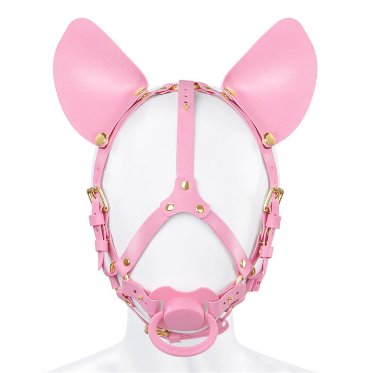 Little Furry Pacifier Petplay Head Harness - LittleForBig Cute & Sexy ...