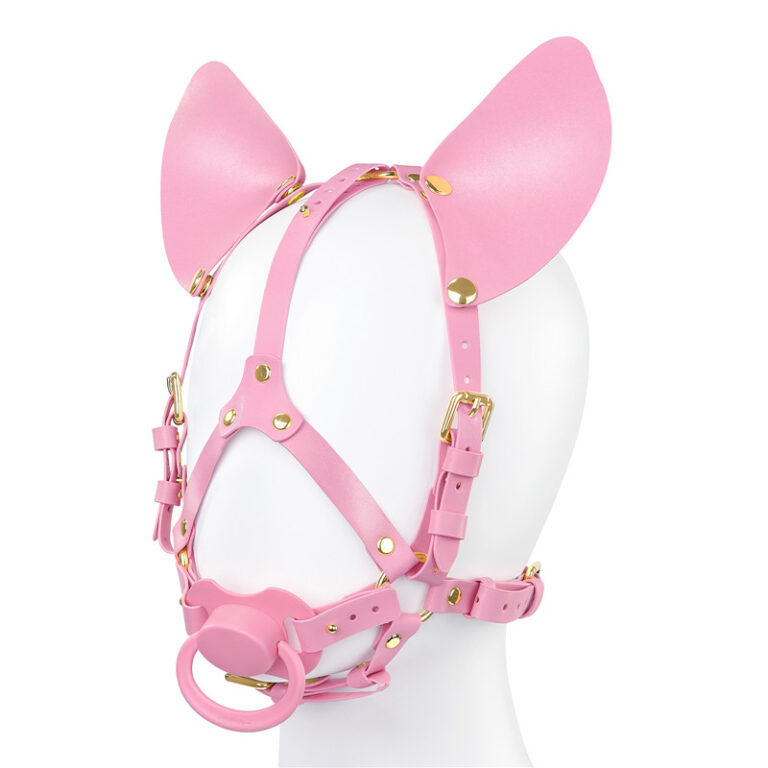 Little Furry Pacifier Petplay Head Harness - LittleForBig Cute & Sexy ...