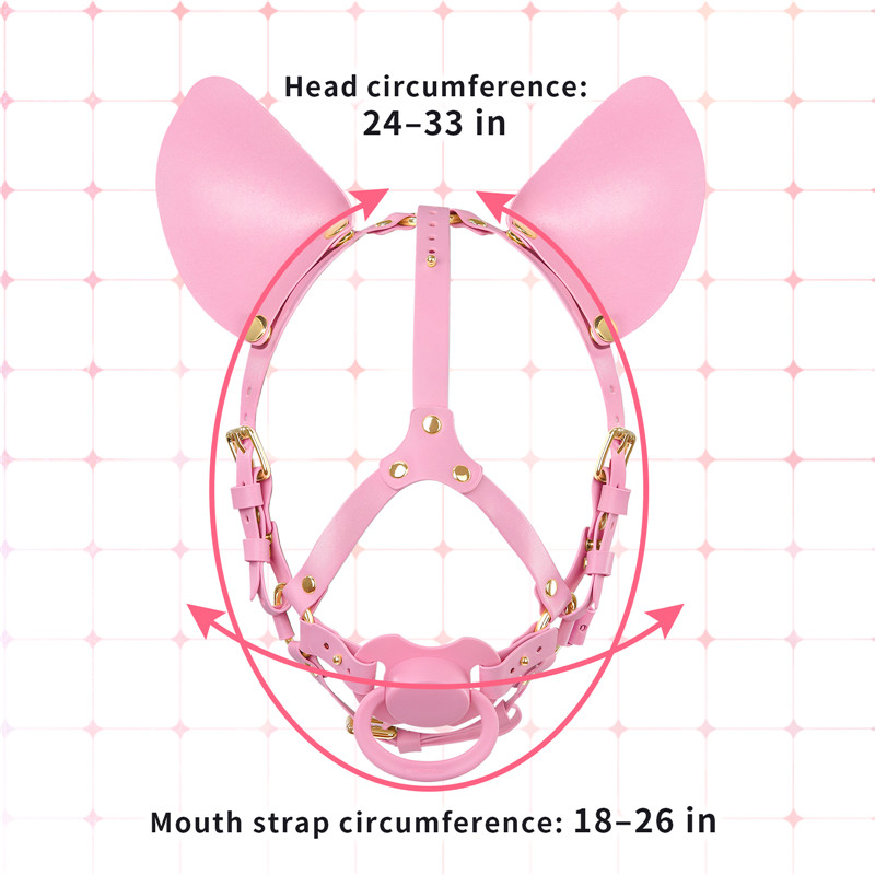 Little Furry Pacifier Petplay Head Harness